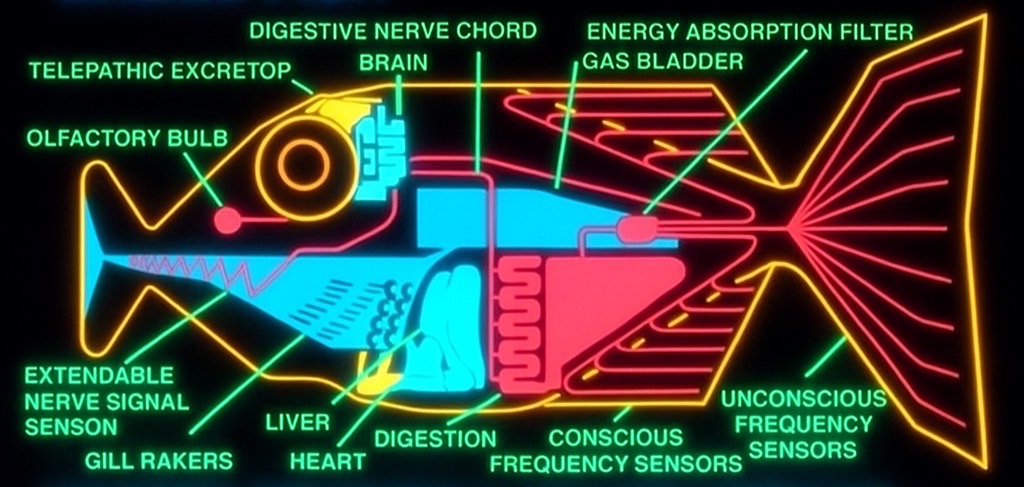 QOM-network3.JPG